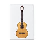 Magneet Gitaar