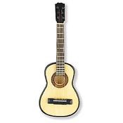 Guitar Magneet