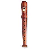 Recorder Magneet