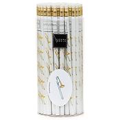 Potloden Set Afbeelding Trombone (72 stuks)