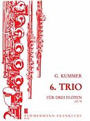 Kummer: Trio 6 Op. 59