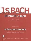 Bach: Sonate e-Moll BWV 1034