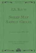 Sheep May Safely Graze (BWV208)(Aria from Cantate)