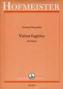 Vision fugitive