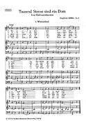 Tausend Sterne sind ein Dom, op. 8(Eine Weihnachtskantate für Chor und Instrumente / Partitur)