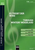 Es treibt der Wind/Through wintery woodland