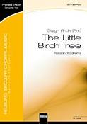 The little Birch Tree