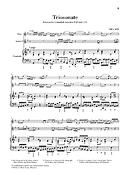 Bach: Triosonate G-dur BWV 1038 Fur Flöte, Violine und Continuo