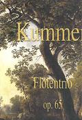 Caspar Kummer: Trio Op. 65