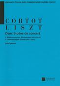 Franz Liszt: 2 Etudes De Concert Piano