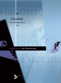 Antonio Domenico Puccini: Crisantemi