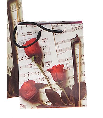 Gift Bag