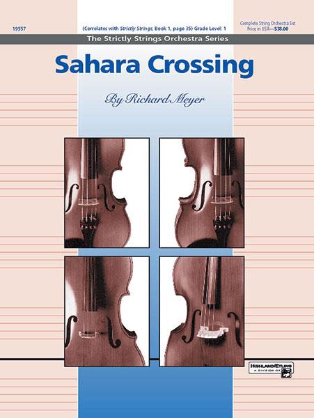 Richard Meyer: Sahara Crossing