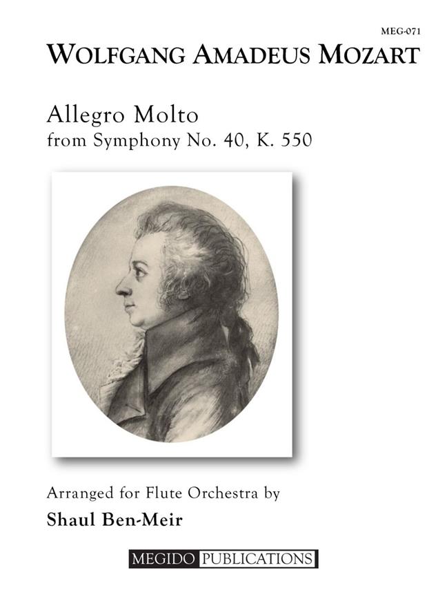 Allegro Molto From Symphony No. 40