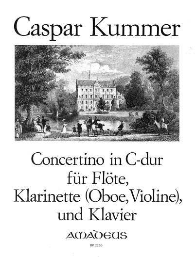 Concertino Op. 101 in C Major