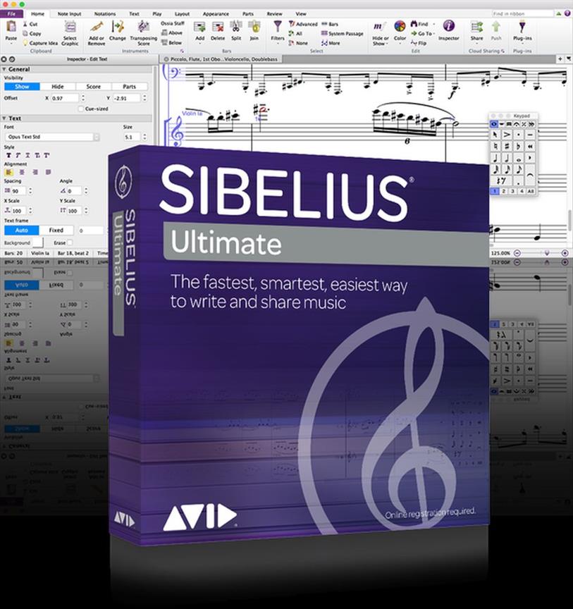 Sibelius Multi (Standalone Perp) Expansion Seat