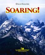 David Shaffuer: Soaring!