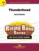 David Shaffuer: Thunderhead