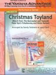 Sandy Feldstein: Christmas Toyland