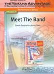 Sandy Feldstein: Meet the Band