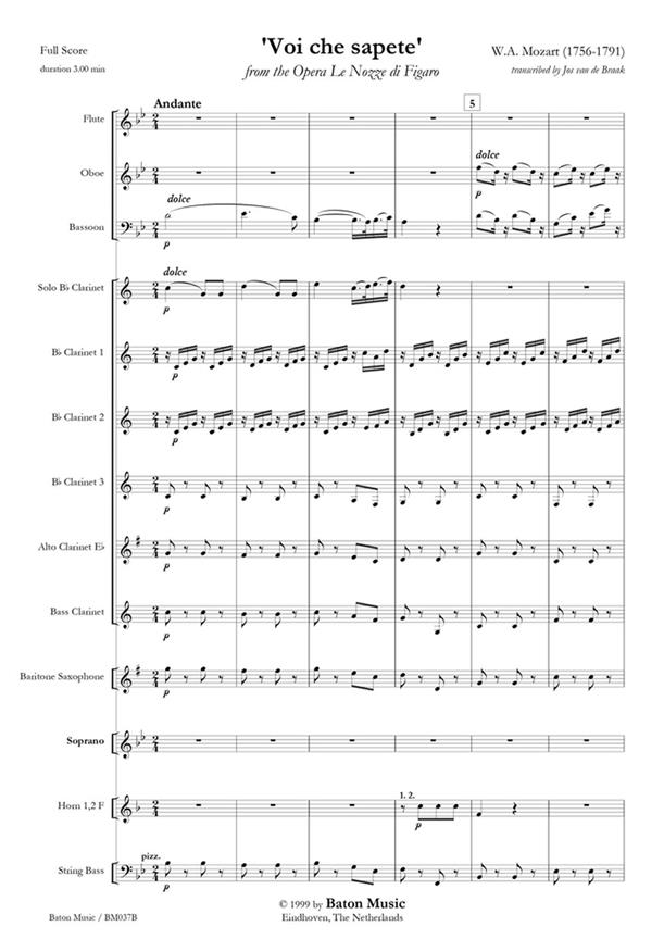 Wolfgang Amadeus Mozart: Voi che sapete