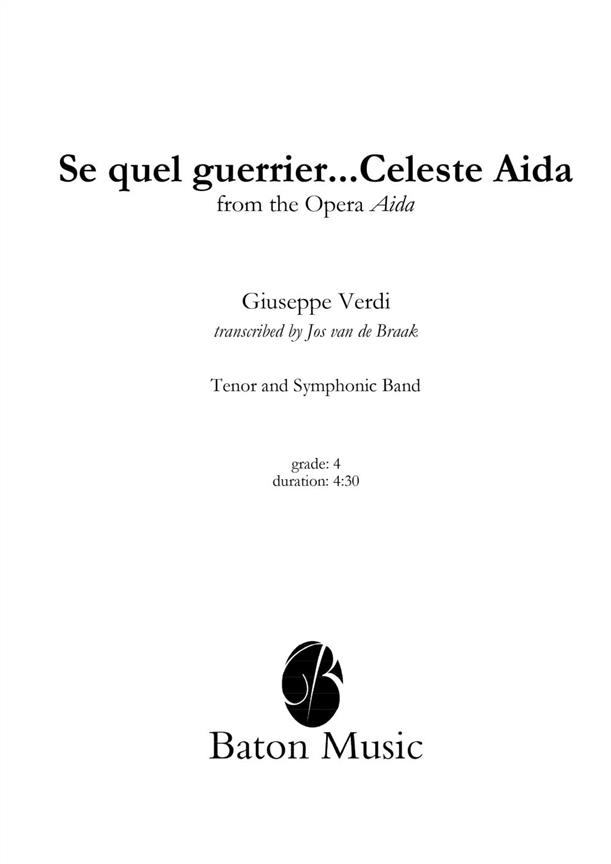 Verdi: Se quel guerrier….Celeste Aida