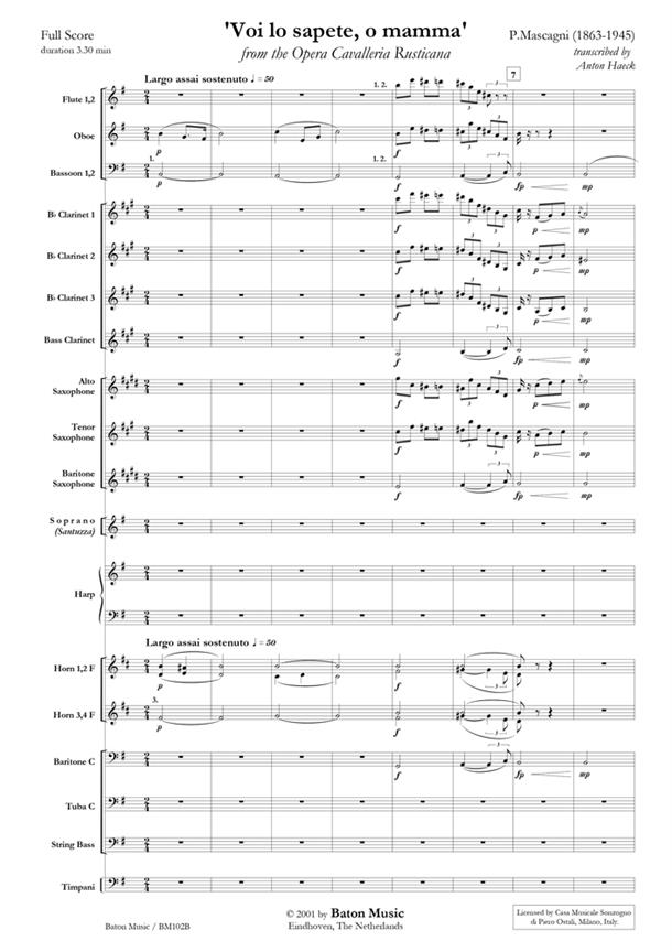 Donizetti: Sonata for Oboe