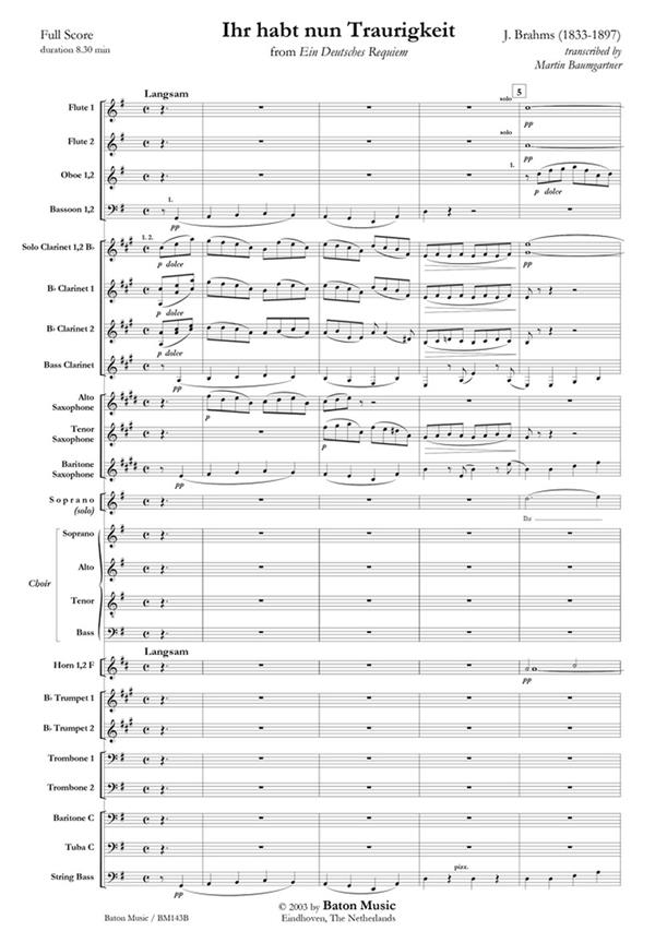 Hohner Special 20 Harmonica, Key of G – a-schwab