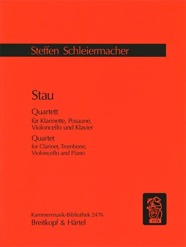 Steffen Schleiermacher: Stau