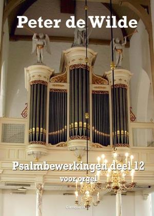 Psalmbewerkingen - deel 12
