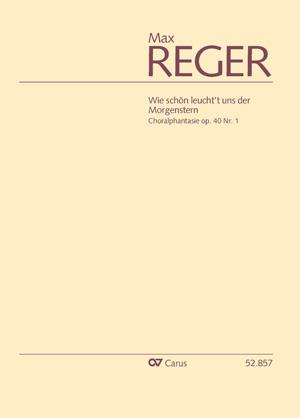 Max Reger: Choralphantasie 