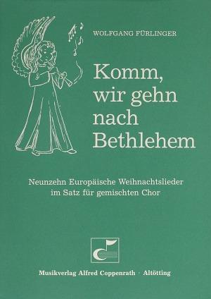 Komm, wir gehn nach Bethlehem