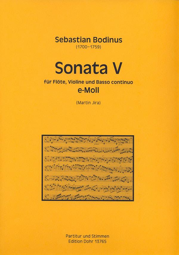 Sonata V E minor