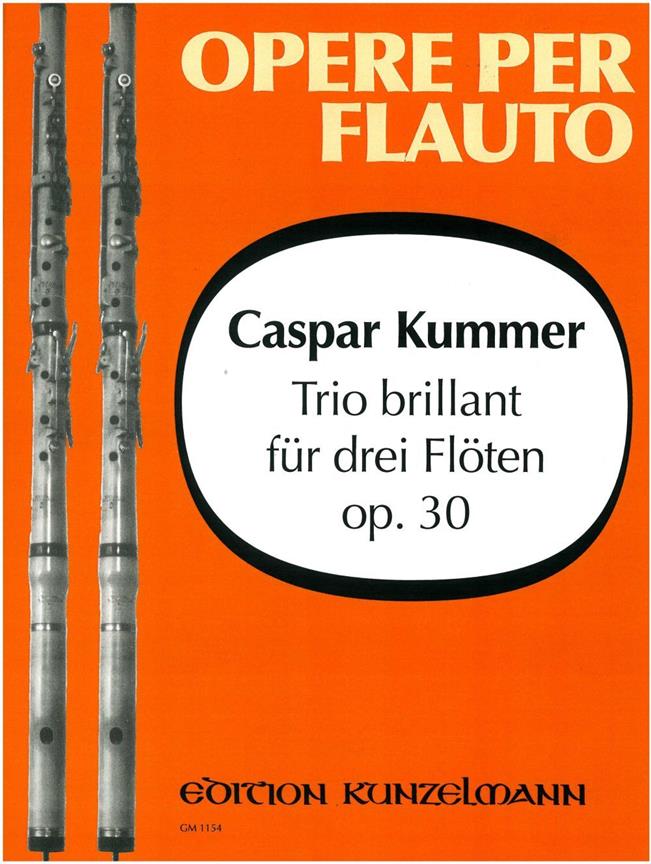 Trio Brillant Op.30