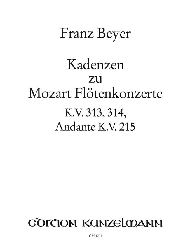 Kadenzen Zu Mozart Flötenkonzerten