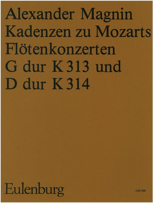 Kadenzen Zu Mozarts Flötenkonzerten