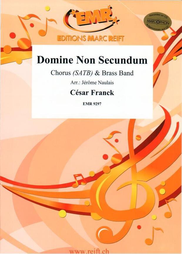 Domine Non Secundum