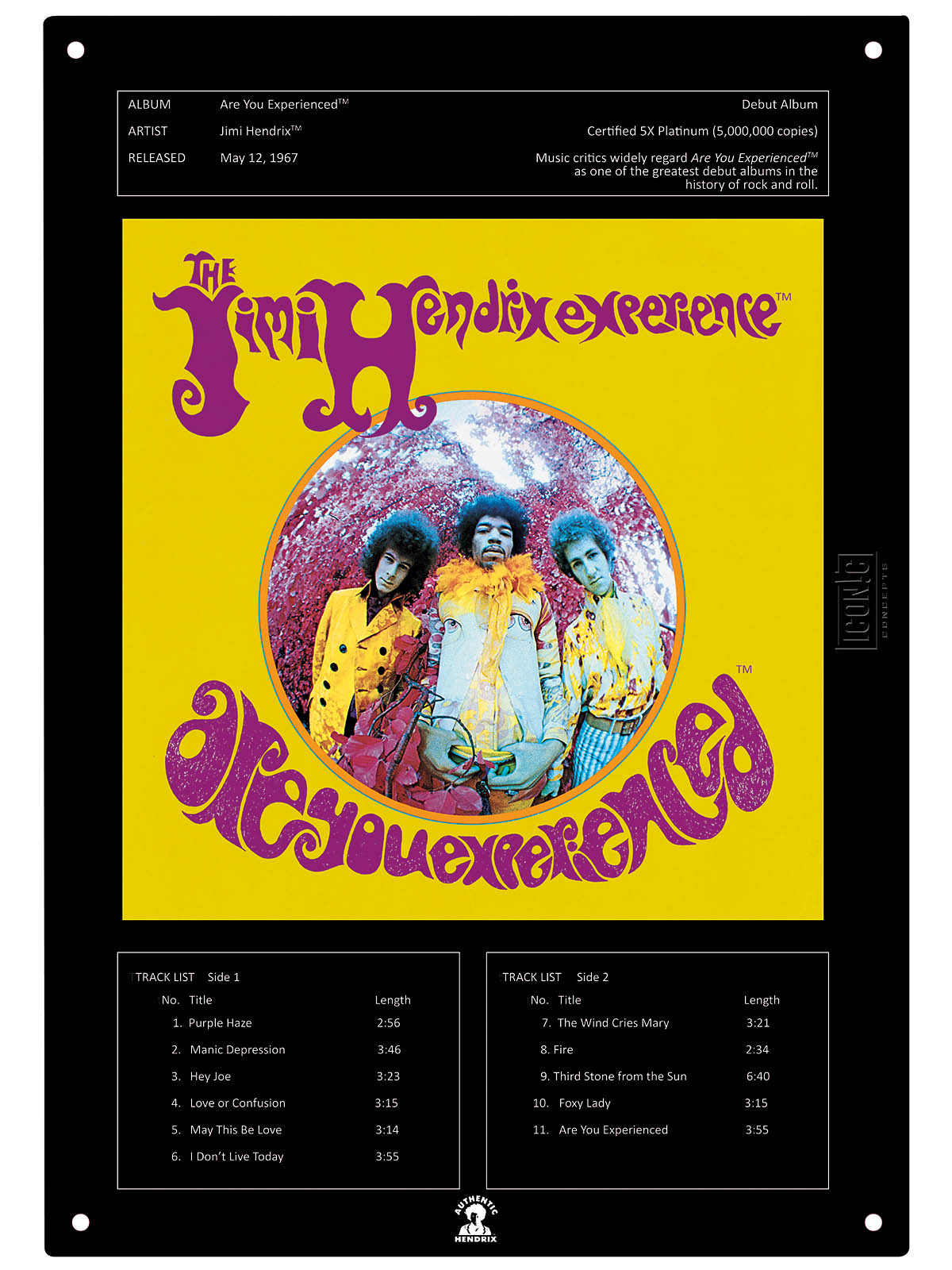 Jimi Hendrix Are You Experienced Tin Sign