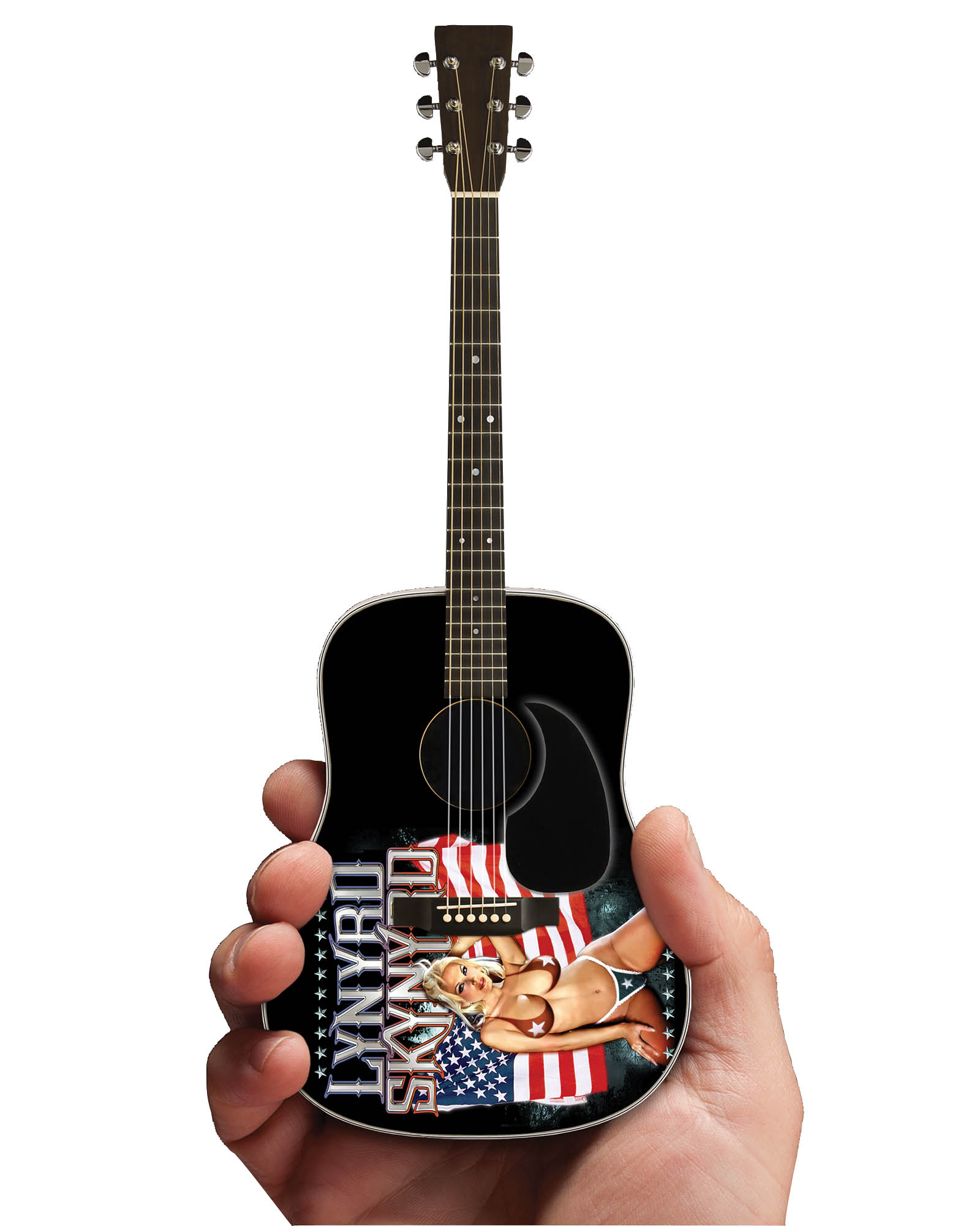 Lynyrd Skynyrd: Acoustic Guitar