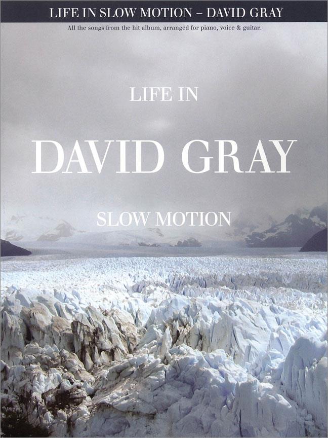 David Gray - Life in Slow Motion