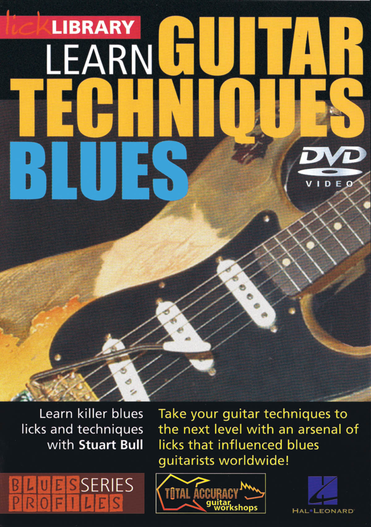 Learn Guitar Techniques: Blues(Stevie Ray Vaughan Style)