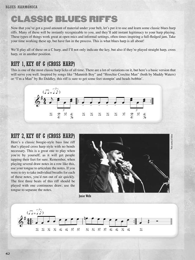 Blues Harmonica For The Great Harp Player