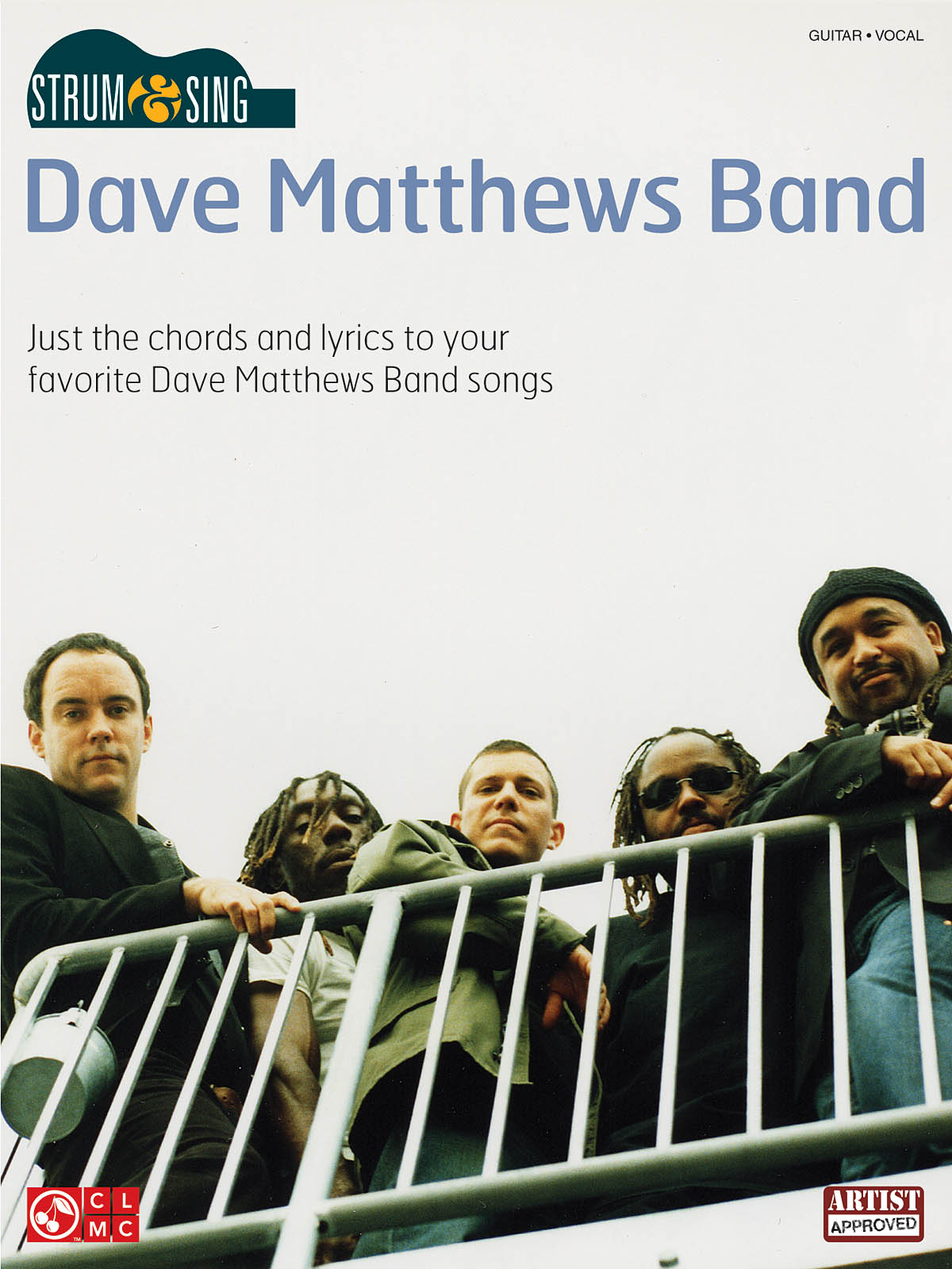 Dave Matthews Band: Strum & Sing