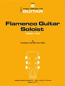 Flamenco Guitar Soloist 2