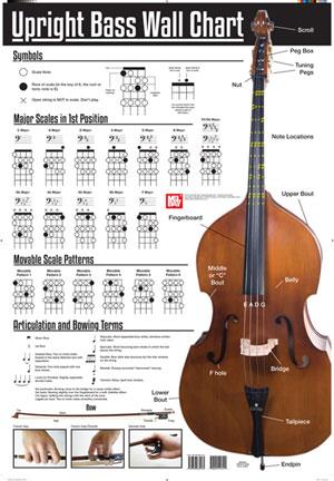 Upright Bass Wall Chart