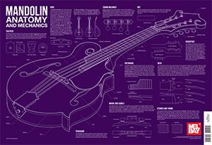 Mandolin Anatomy and Mechanics Wall Chart