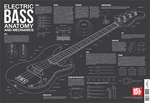 Electric Bass Anatomy And Mechanics Wall Chart