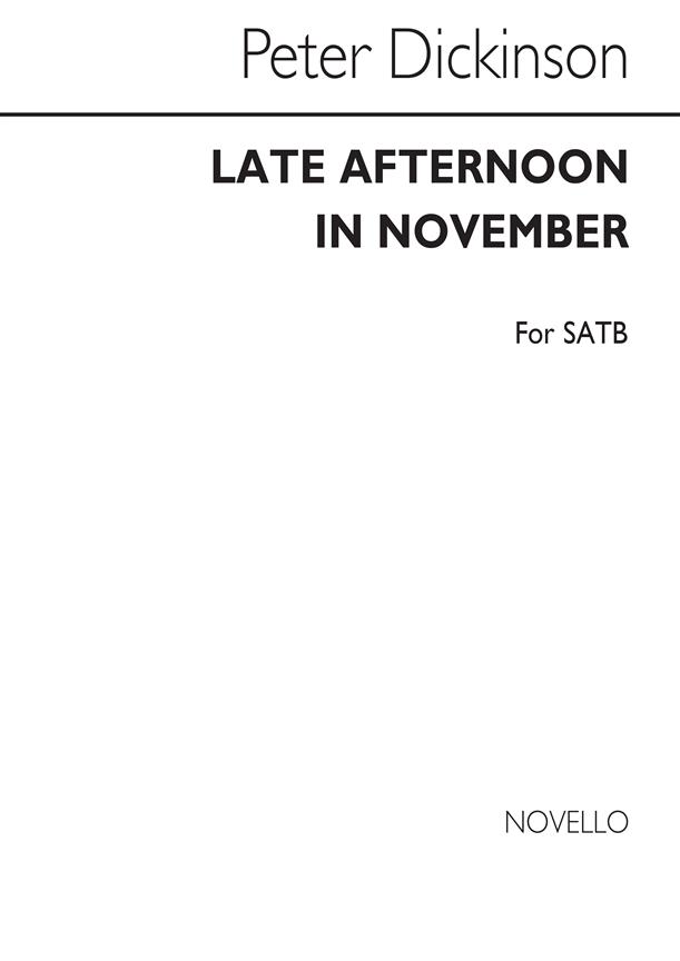 Late Afternoon In November