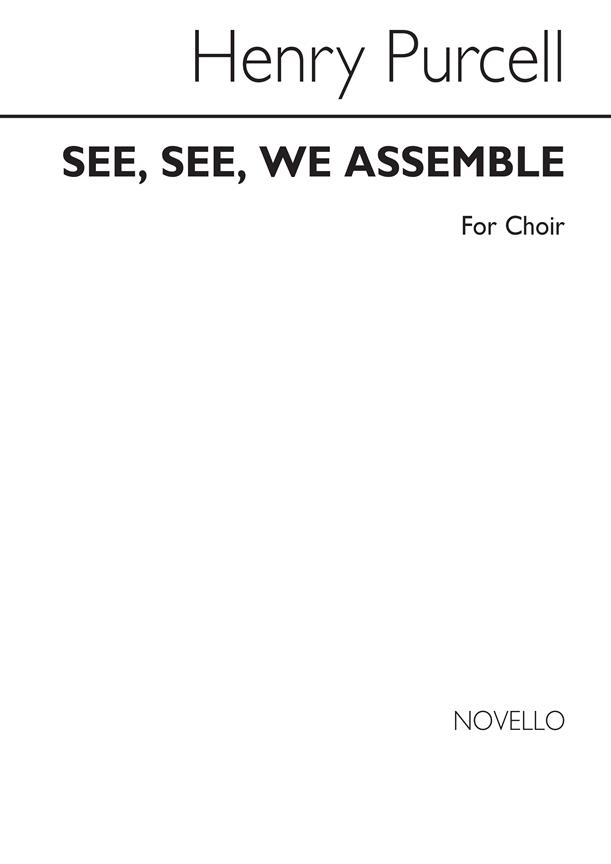 See See We Assemble