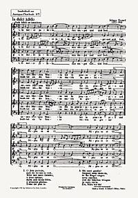 In dulci jubilo / Nun komm der Heiden Heiland